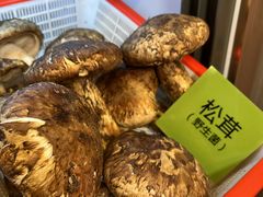 -菌海森林·非遗野生菌火锅(西山区滇池路摩根道店)