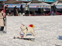 -蓟县盘山滑雪场
