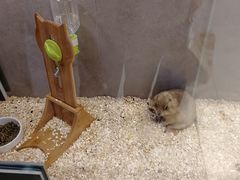 -狗道宠物(常熟印象城店)