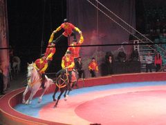 -环球城国际大马戏