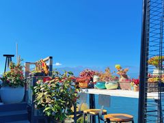-野菌皇海景野生菌火锅(滨海大道店)