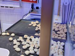 -墨茉点心局(国金街店)
