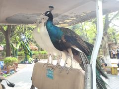 -北京野生动物园