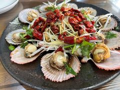 -鲁前海沿儿