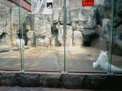 -南昌动物园