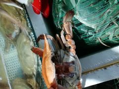 -盛华世家商业广场农贸水产综合批发市场