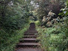 -杭州半山国家森林公园