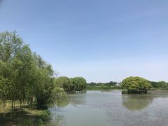 -梁鸿国家湿地公园