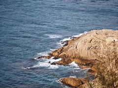 -广东惠东海龟国家级自然保护区