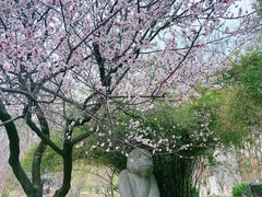 -堤角公园
