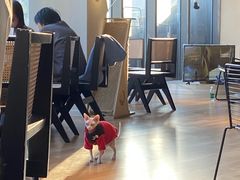 -工联CC