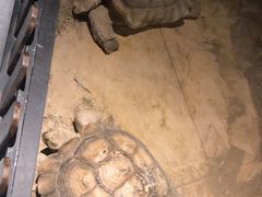 -天津zoonly动物主题公园