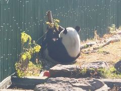 -沈阳森林动物园