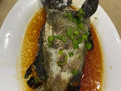 清蒸石斑鱼-双月饭店·20年老字号(新村店)