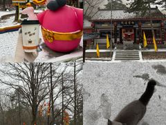 -洛阳白云山景区