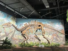 -辽宁古生物博物馆