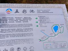 -黄龙山原始森林景区