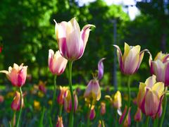 -长春公园(普阳街道)