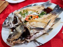 -先鲜鲫鱼粥