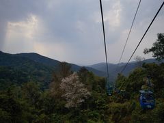 -野象谷景区