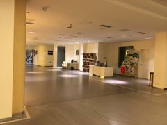 -深圳东部华侨城茵特拉根酒店