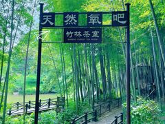 -宝岩生态观光园