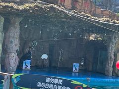 -灵玲国际马戏城