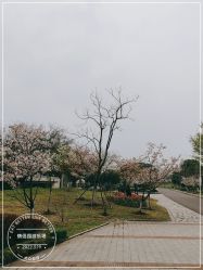 -玄武湖景区-情侣园游乐场