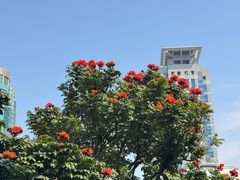 -明月虾面(厦禾路店)