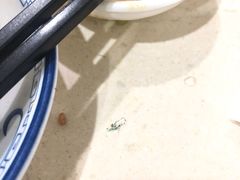 -伟记牛肉(金鸿公路店)