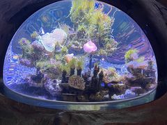 -南昌融创海世界