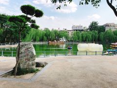 -莲湖公园