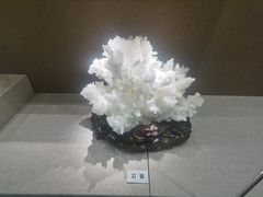 -北京中医药大学-中医药博物馆
