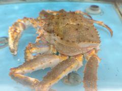 -麦德龙(浦东店)