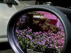 -上海普陀宝诚MINI4S店(红柳路店)