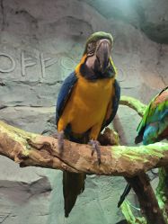 -Zoolung Zoolung动物主题公园(海信广场店)