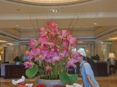 -福建鲤鱼洲酒店