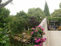 -白马涧龙池景区