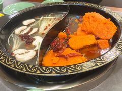 -小志家.野生菌鲜切牦牛肉牛杂火锅