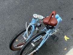 -DAHON大行折叠自行车(松江旗舰店)