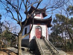 -上海佘山国家森林公园天马山园