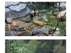 -黄山翡翠谷景区