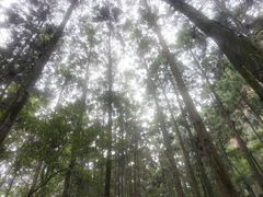 -狼山风景名胜区