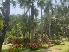 -中国科学院西双版纳热带植物园
