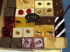 -维尔纳斯·生日蛋糕动物奶油冰淇淋蛋糕(人大店)