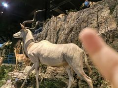 -陕西自然博物馆