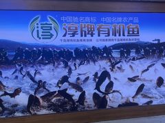 -千岛湖小鱼儿·淳安匠心农家菜