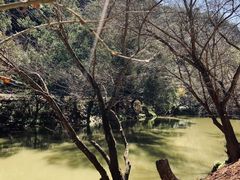 -昆明青龙峡风景区