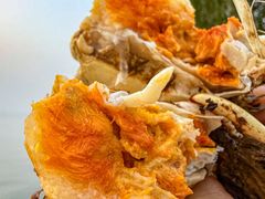 -品鲜村农家菜·阳澄湖大闸蟹(总店)