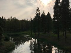 -贡湖湾湿地公园